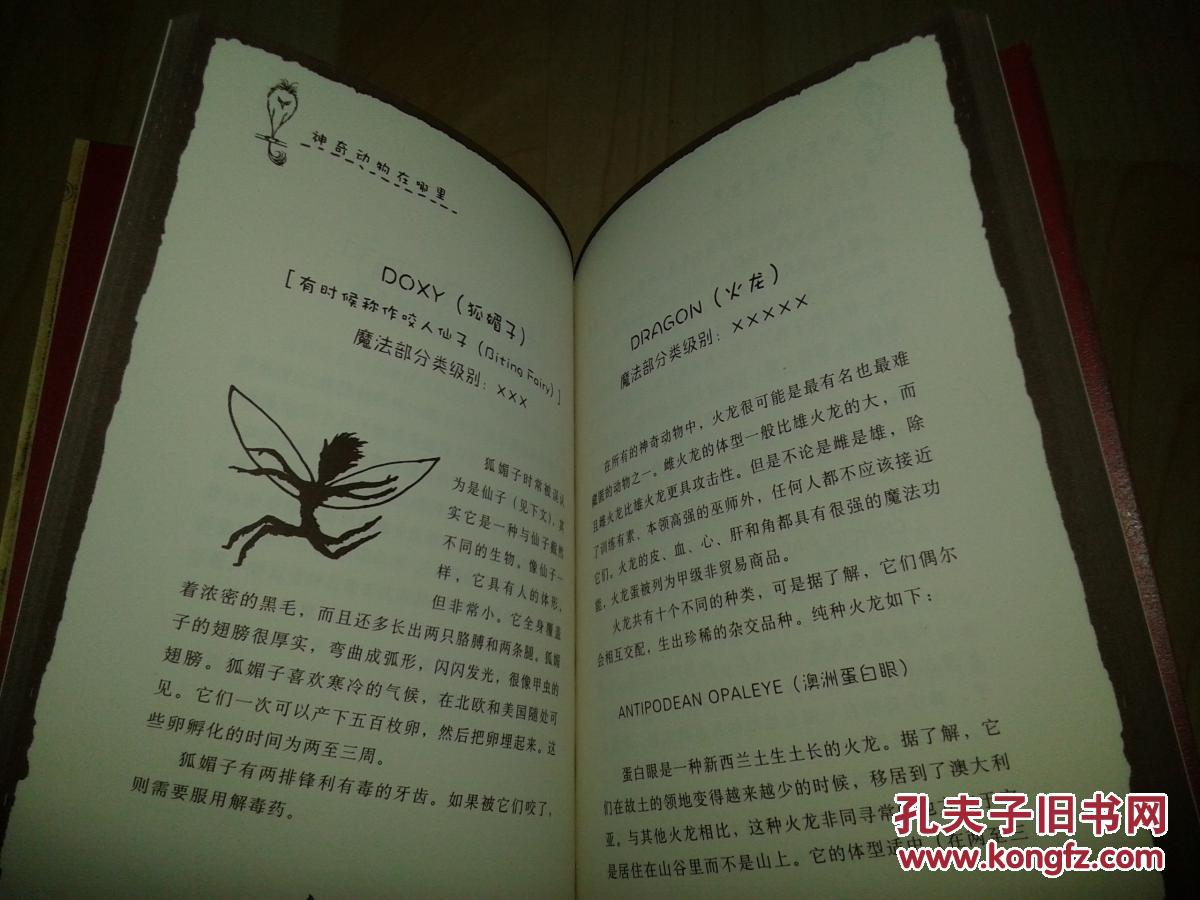 神奇动物在哪里 哈利·波特在霍格沃茨魔法学校的课本