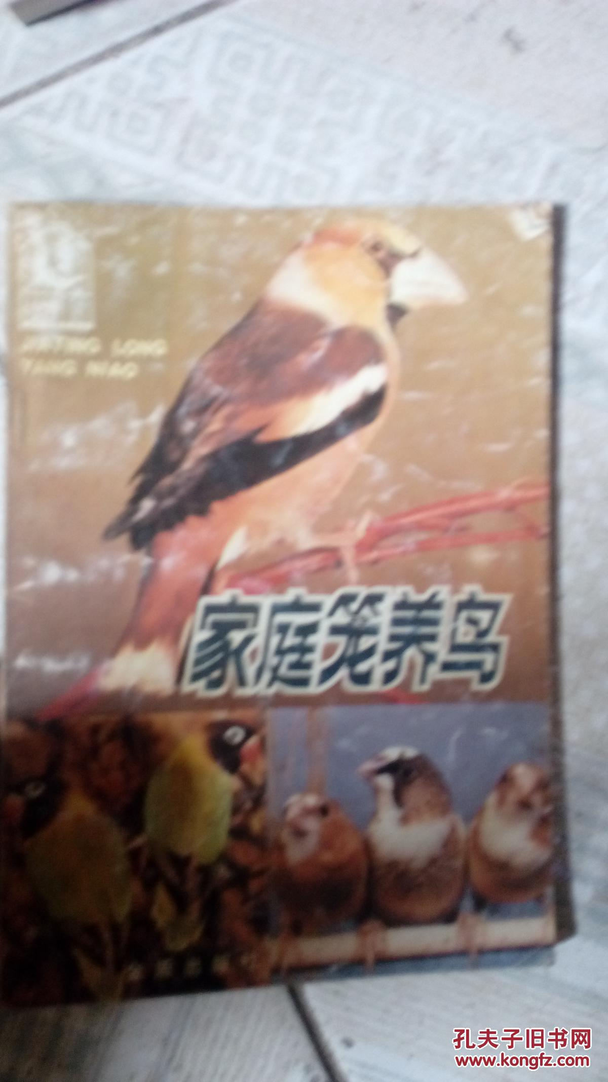 家庭笼养鸟
