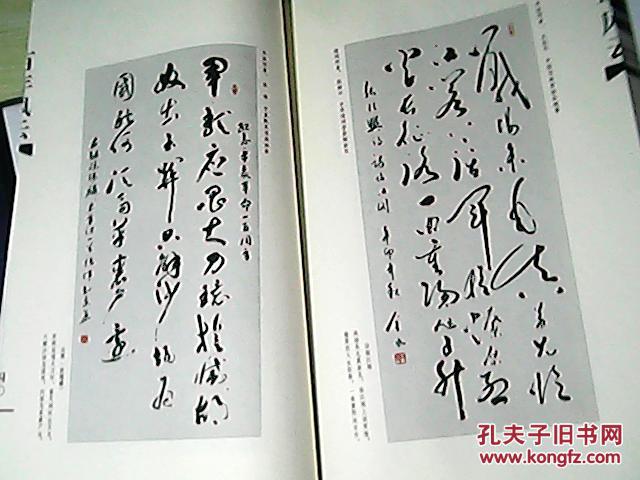 百年风云纪念辛亥革命一百周年政协委员诗词书法作品集