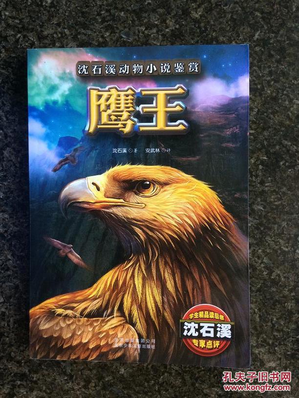 鹰王