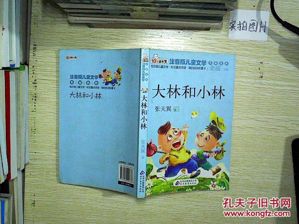 大林和小林