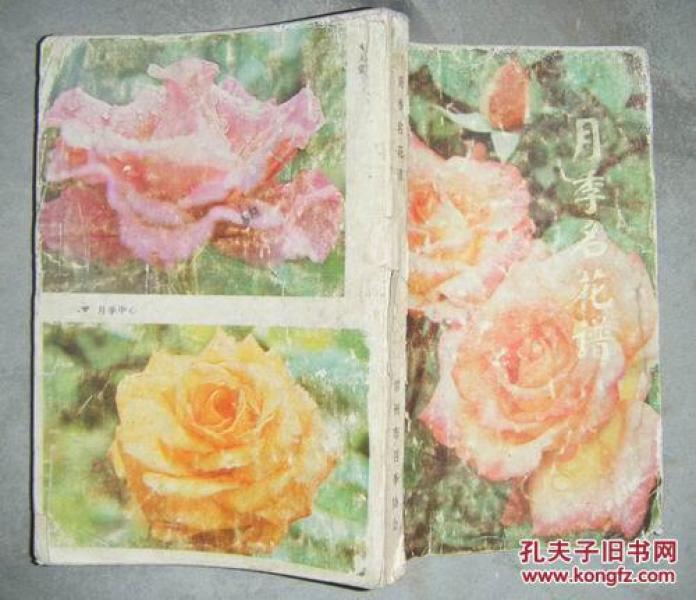 名花简谱_倾国名花简谱