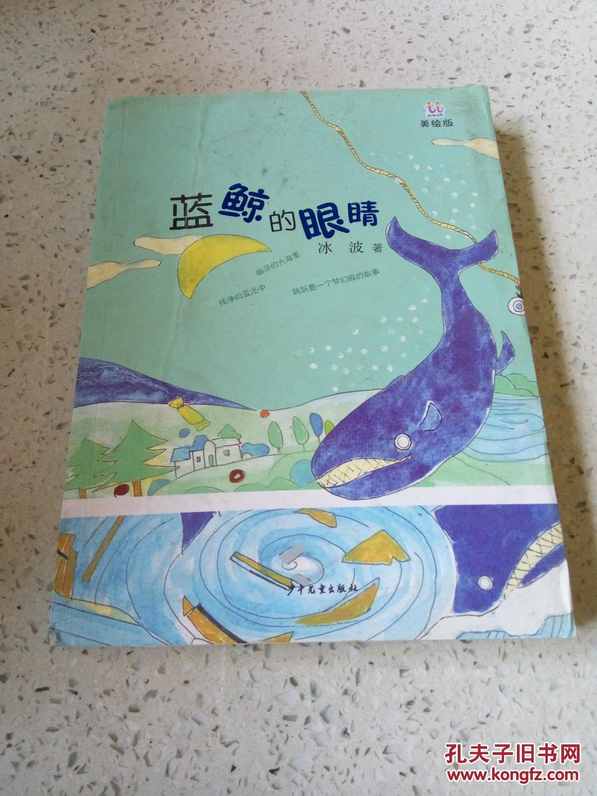 蓝鲸的眼睛
