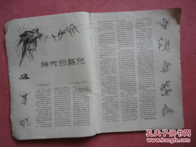 p4YBAFfMOgaAWi7dAAIJzm58N30194_b.jpg