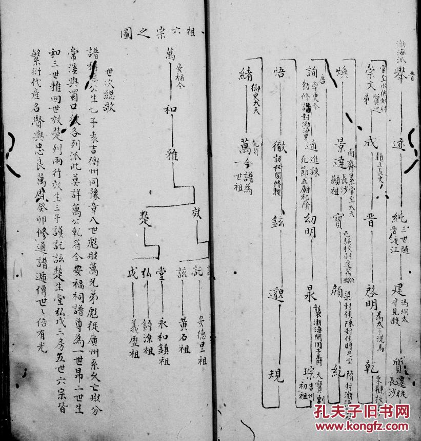 家谱----欧阳氏族谱 欧村支 16开 76页 原件模糊不清晰 (电) d