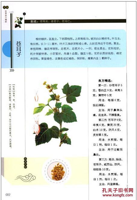 新编百草良方精粹四色图解畅销版中国民间百草良方草药书籍中药书籍