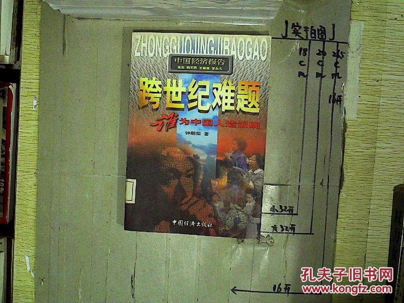 跨世纪难题:谁为中国人造饭碗(馆藏)