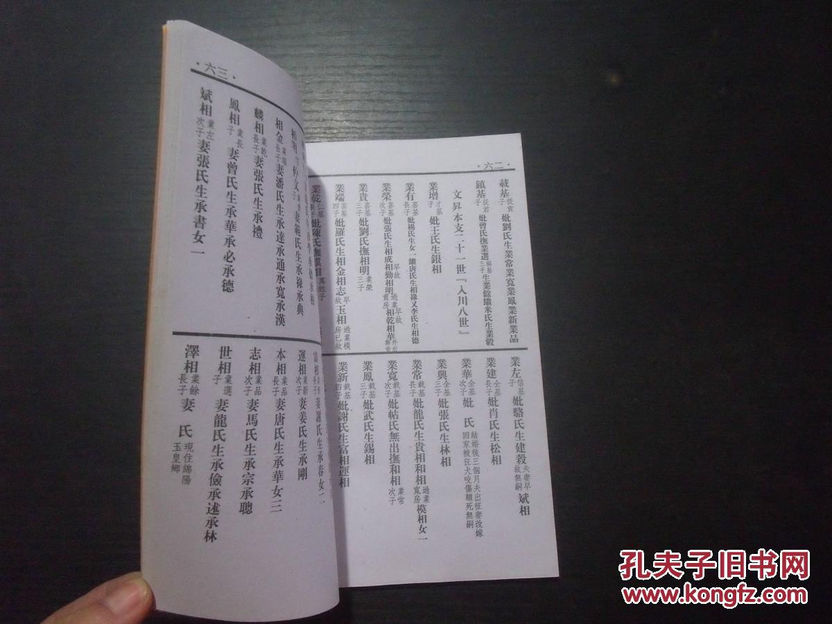 魏氏家谱 d16-3