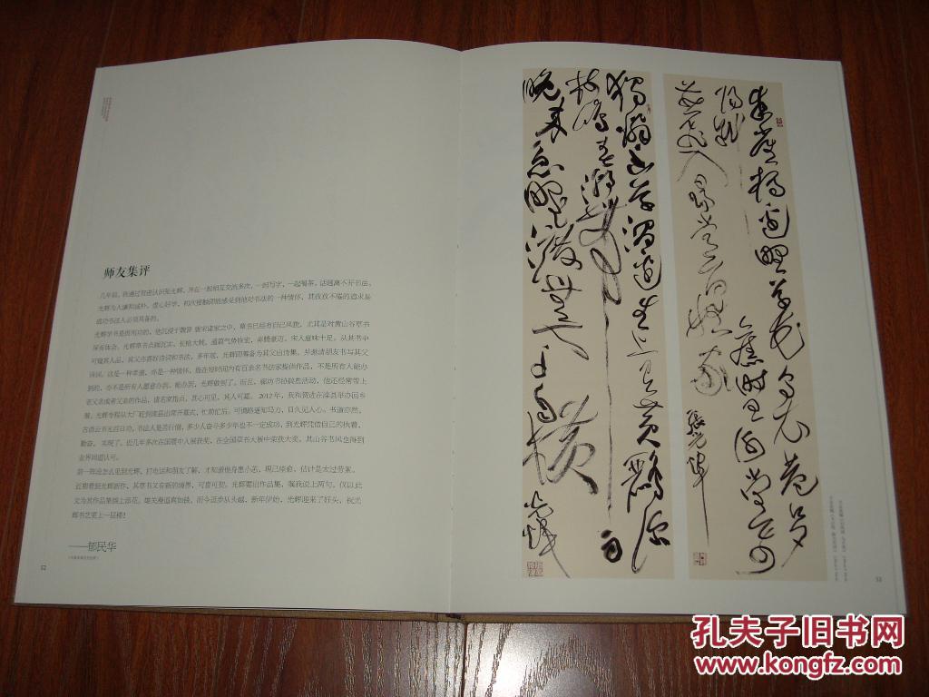张光辉书法作品集8开精装2015年1版1印95品