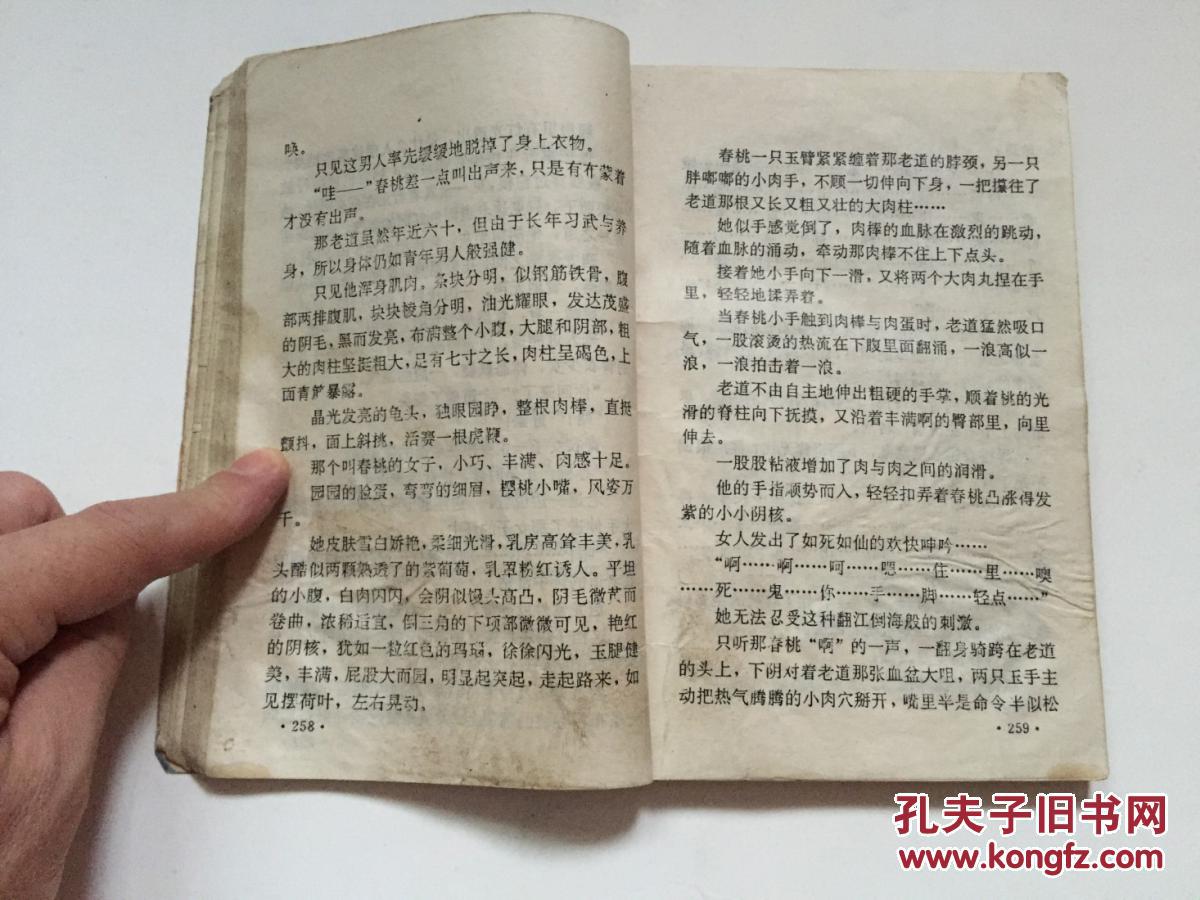 艳武侠:情侠艳女闹江湖(下册)_柳残阳_孔夫子旧书网