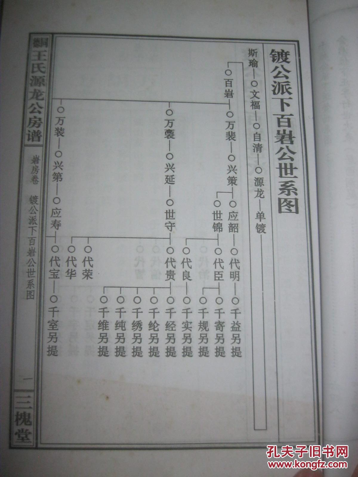湖南双峰县三槐堂【同德王氏源龙公房谱—房】16开精装一册全