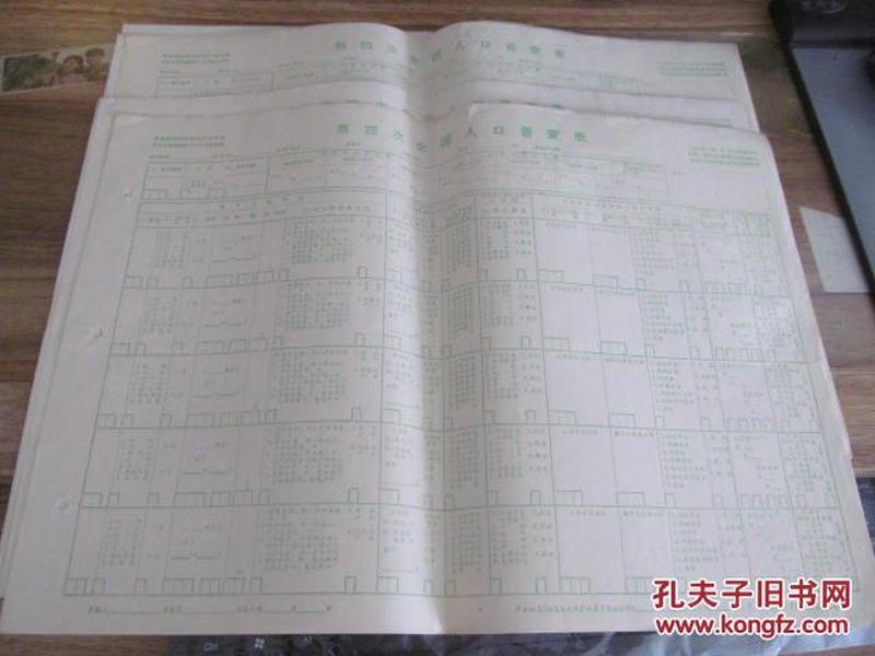 人口普查表_人口普查表填写模板(3)