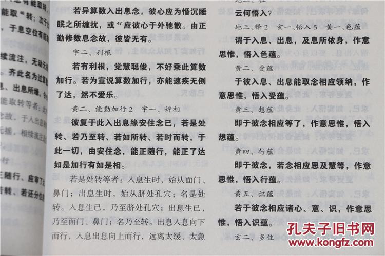 【图】瑜伽师地论科句披寻记_北京华藏图书馆