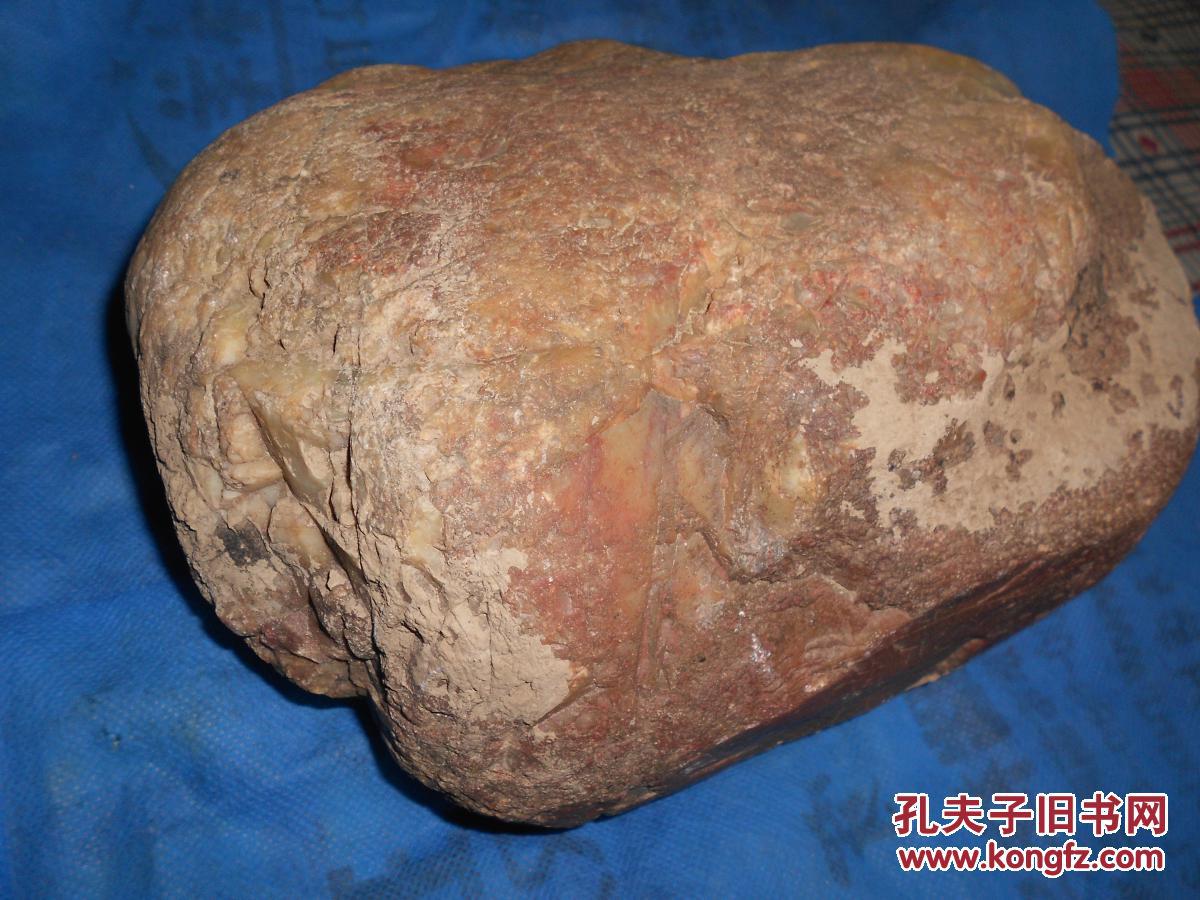 水冲硅化木树化玉原石约7.9公斤(1号)