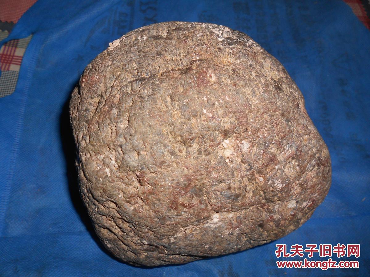 水冲硅化木树化玉原石约5.8公斤(7号)未经任何处理
