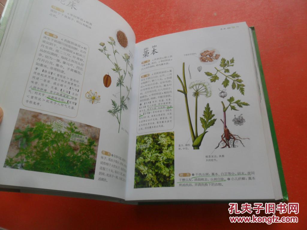 本草纲目植物识别图谱——健康爱家系列