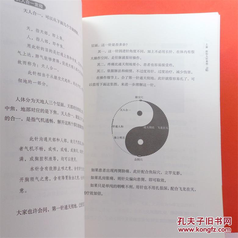 阴阳九针任之堂主人自创针法大揭密 余浩 中国中医药出版社