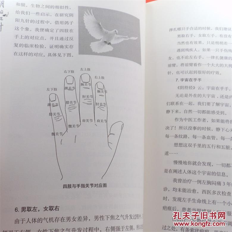 阴阳九针 任之堂主人自创针法大揭密 余浩 中国中医药