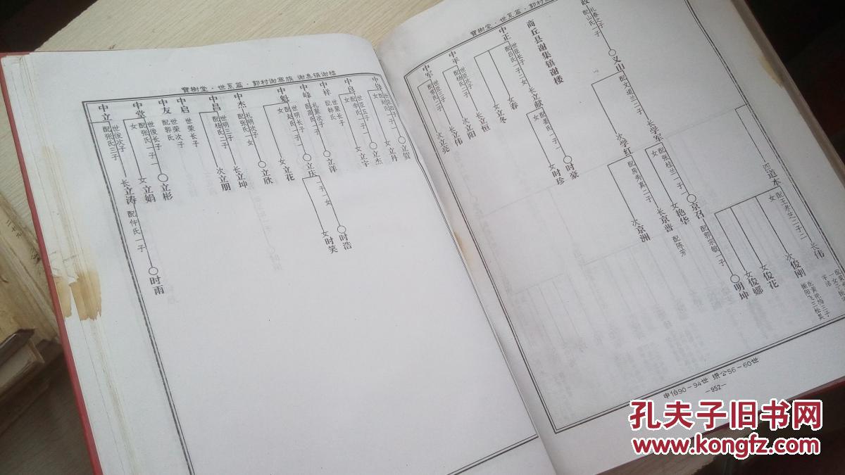 页有损泛黄】河南省太康县陈郡阳夏谢氏族谱 安公故里篇 各门派世系