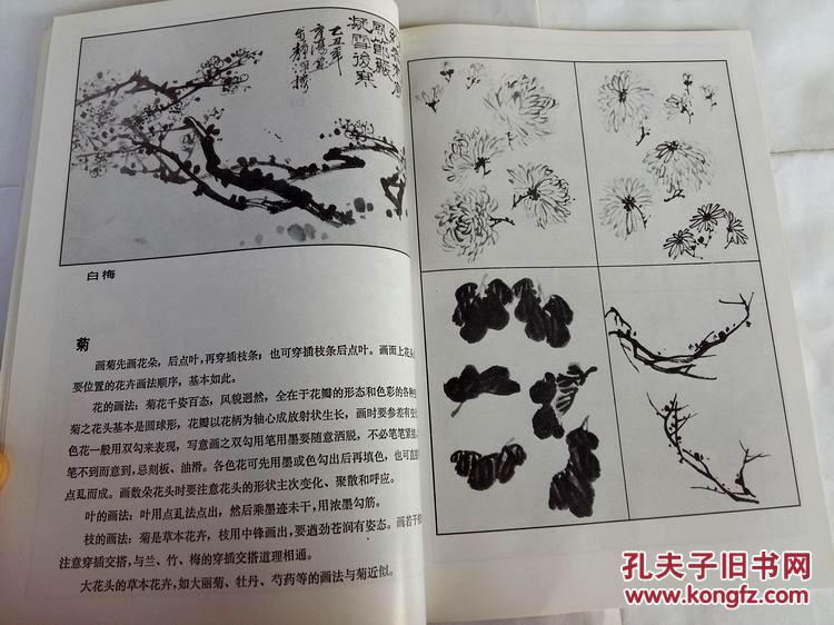 花鸟画入门 题款铃印 临摹写生 花卉禽鸟鱼草虫蔬果绘画技法 钟育淳著