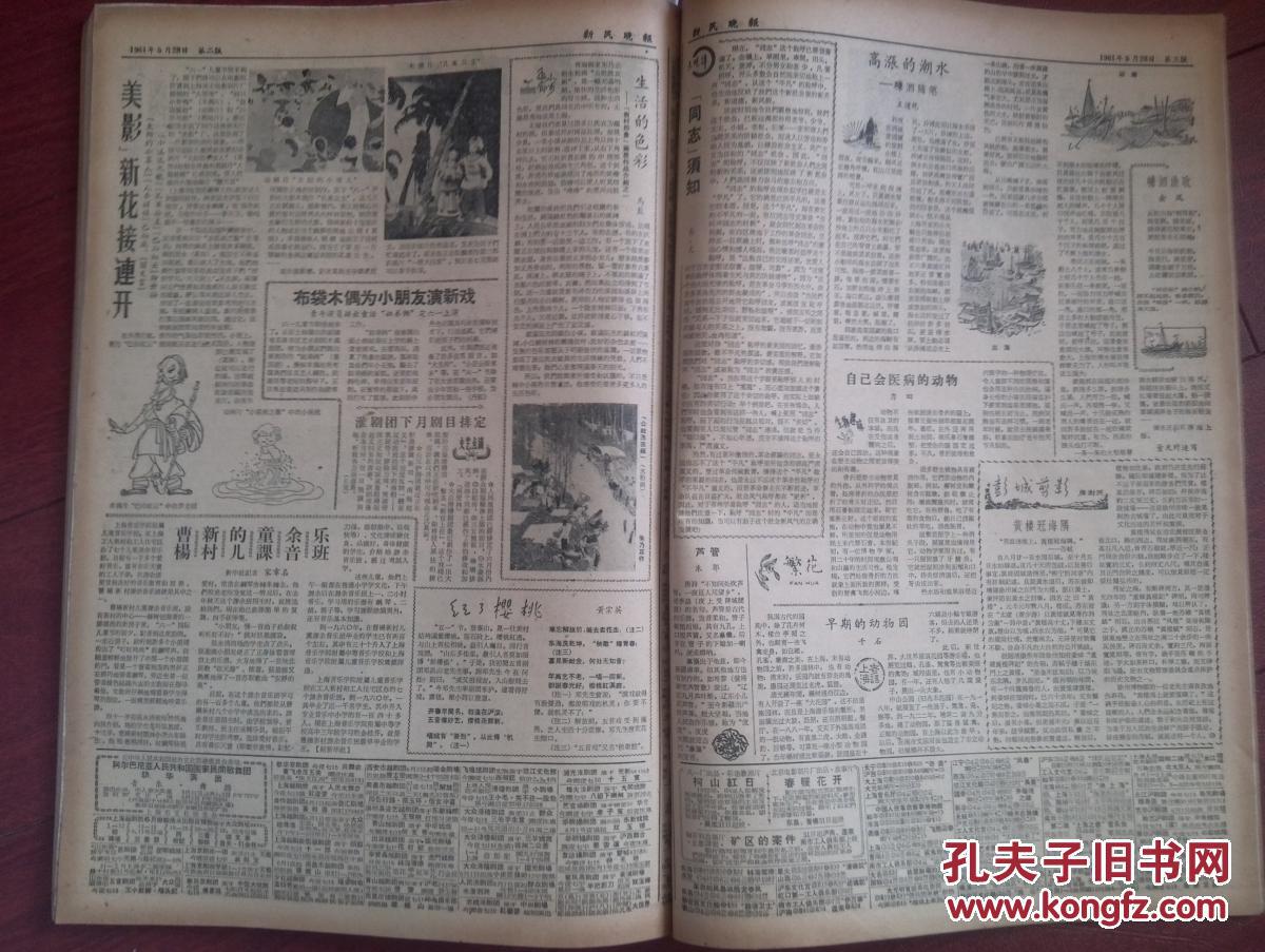 新民晚报1961年5月28日外冈养鹿场,川沙建国生产队宝宝乐园陈才芳照片