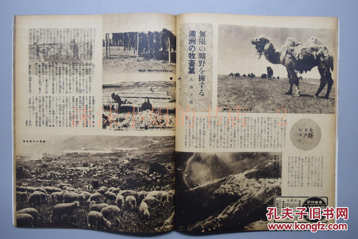 1940年伪满洲国gdp_伪政权邮票 邮票税票(3)