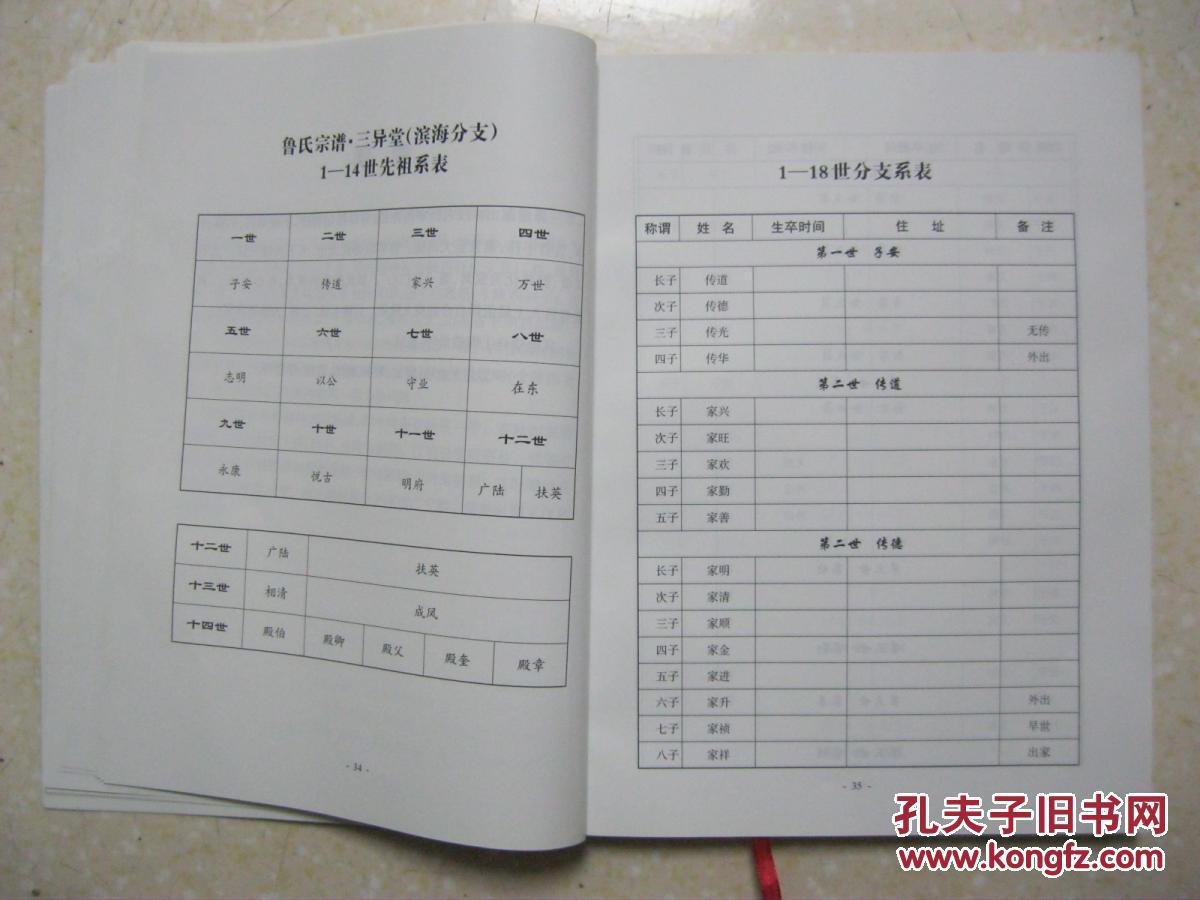 田氏增加人口_人口普查(3)