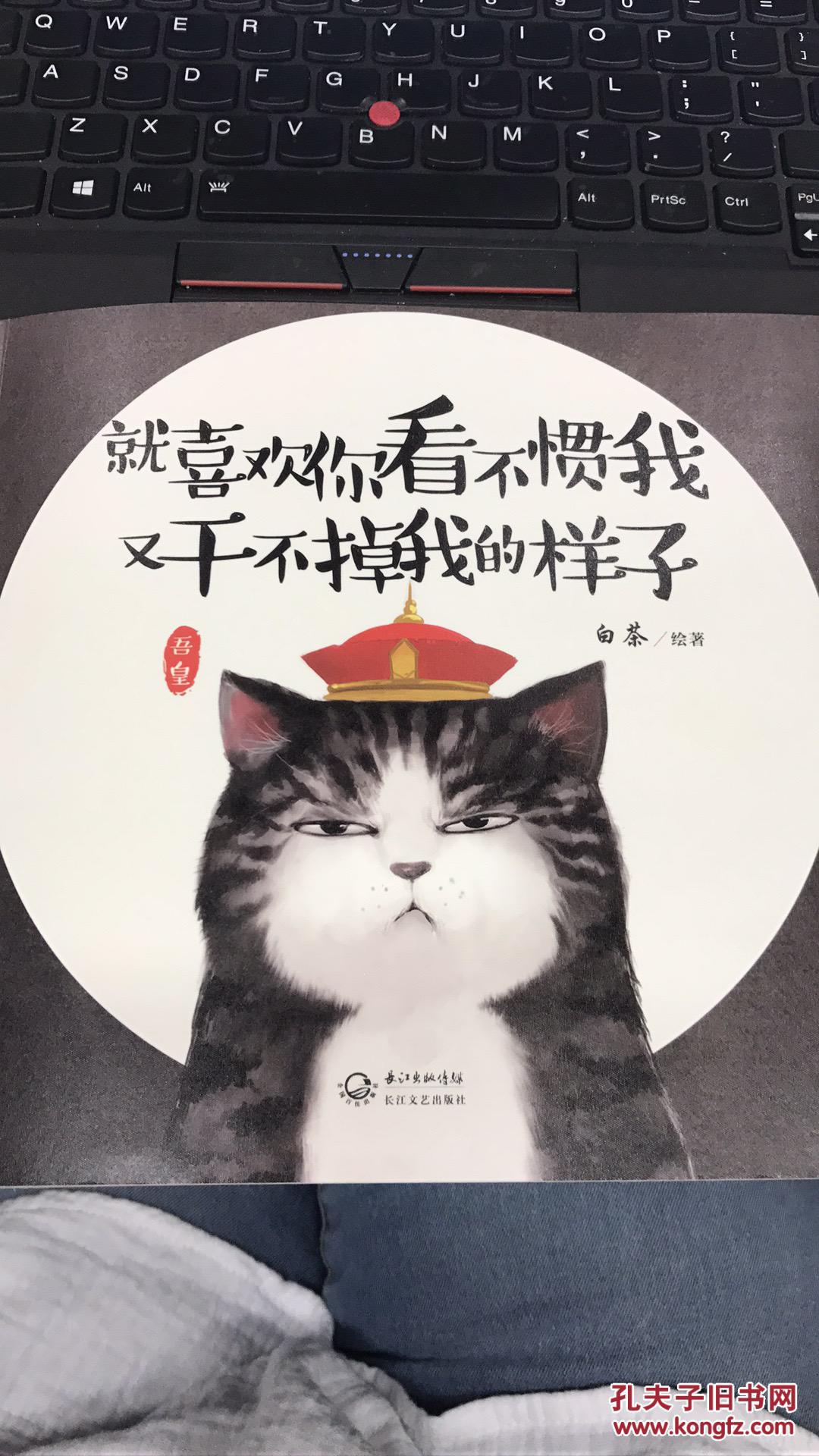 就喜欢你看不惯我又干不掉我的样子