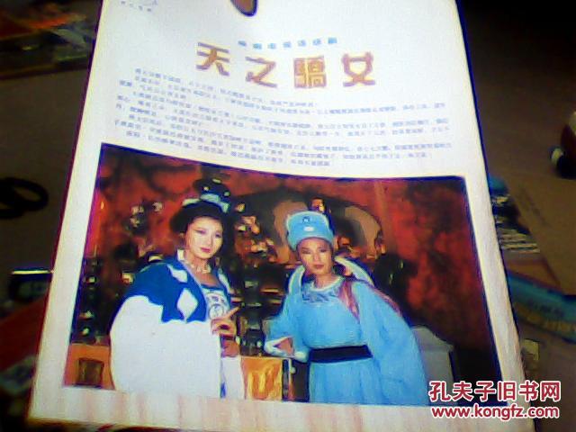 电视剧宣传单张 天之骄女