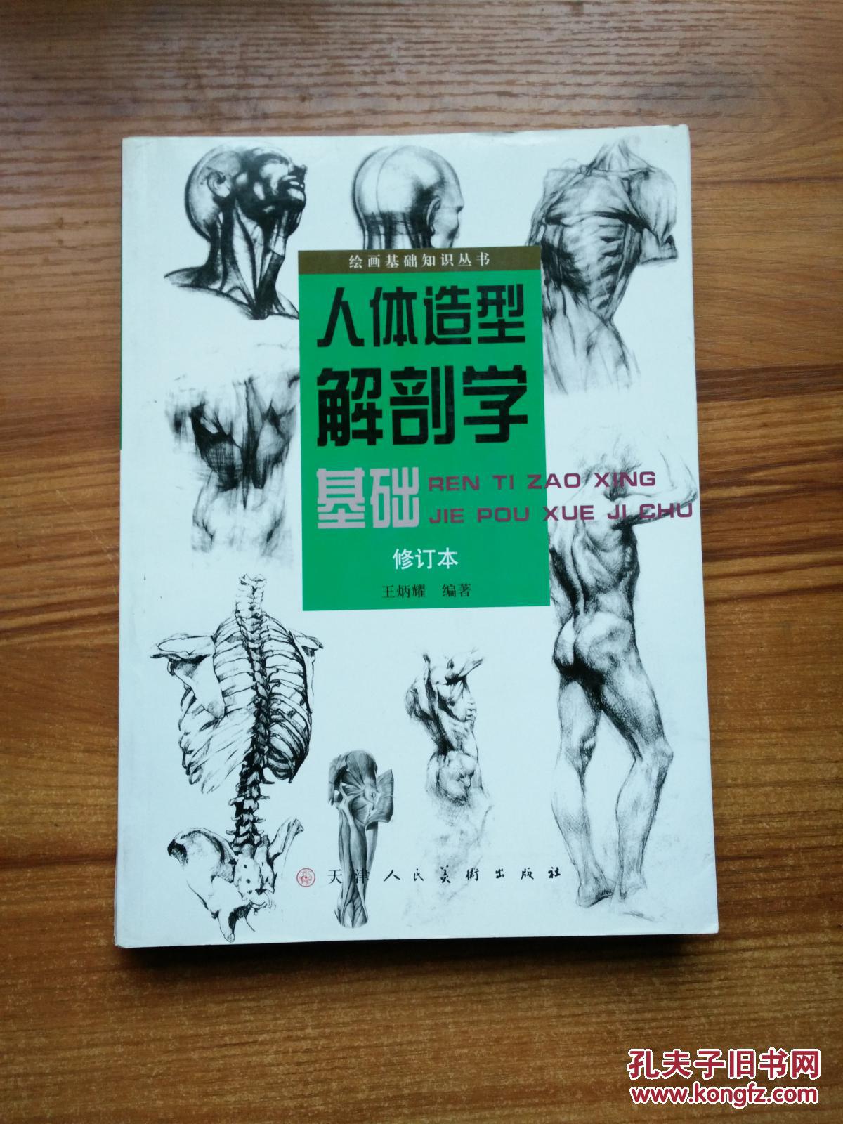 人体造型解剖学基础