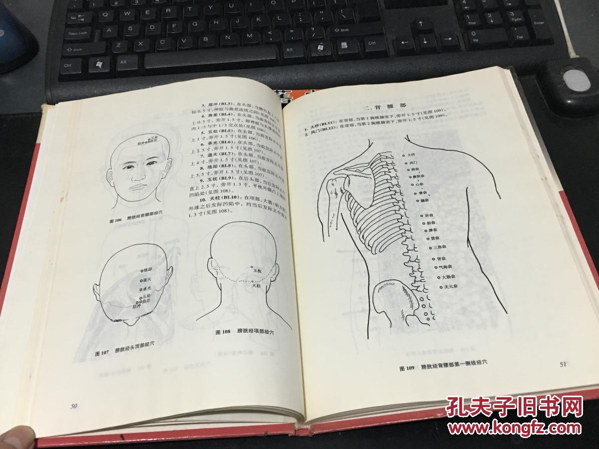 中国针灸穴位图谱