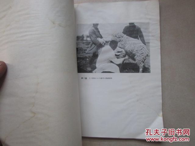 p4YBAFkm5QqAKzHfAABS6j55tYA469_b.jpg
