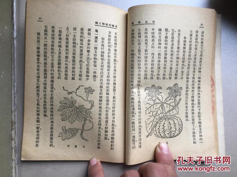 碎心石歌曲原唱曲谱