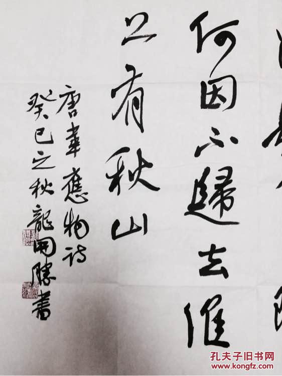 龙开胜书法3