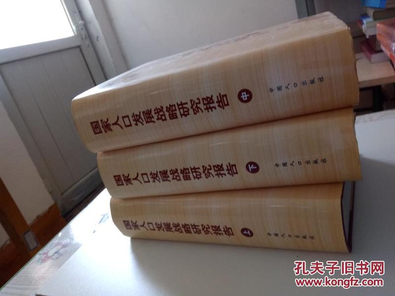 国家人口发展战略报告_人口迁移与社会发展(2)