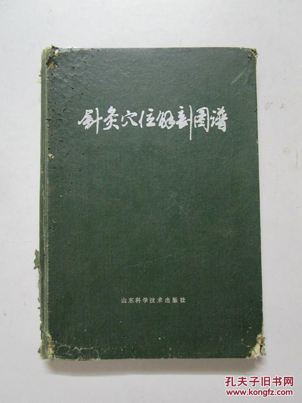 针灸穴位解剖图谱
