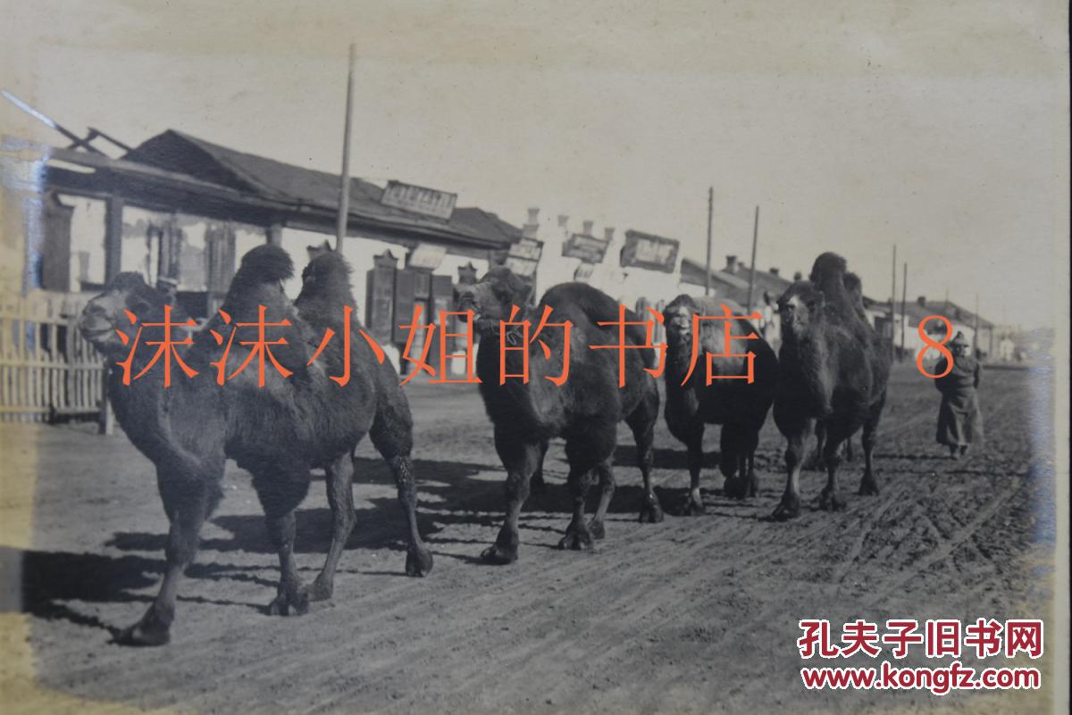 满洲 国境满洲里街头的骆驼 满洲风俗 土俗的信仰对象 海拉尔的山神庙