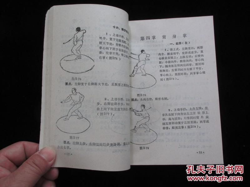 精义八卦掌