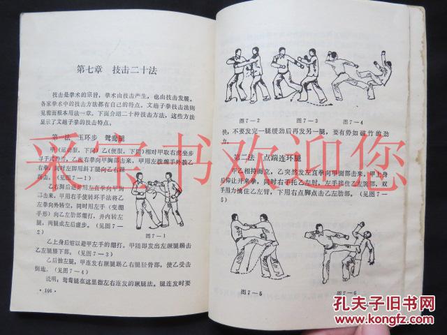 戳脚:文趟子拳(胡奉三嫡传戳脚真功)