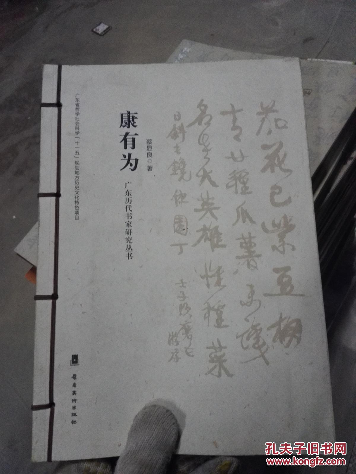 广东历代书家研究丛书:康有为