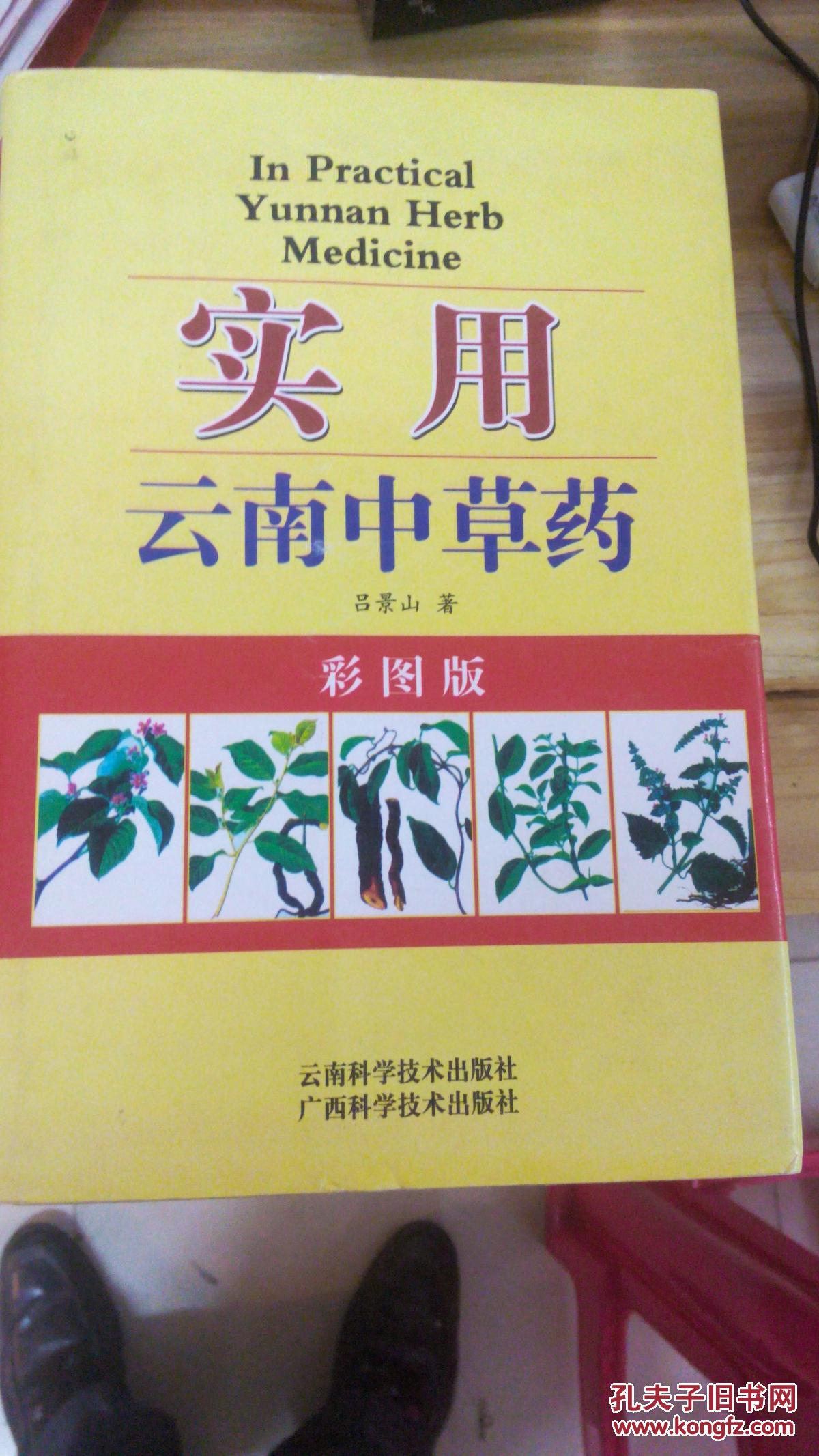 实用云南中草药---彩图版