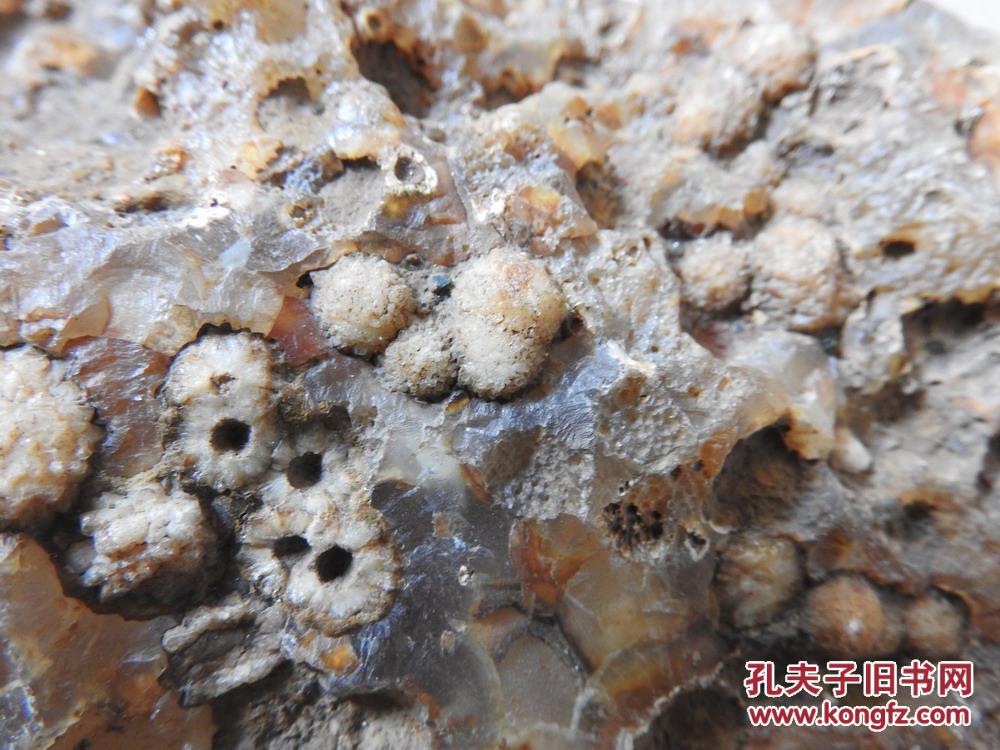 外表有熔壳.深色矿物撞击玛瑙形成陨击坑,并且还有太空生物化石嵌入.