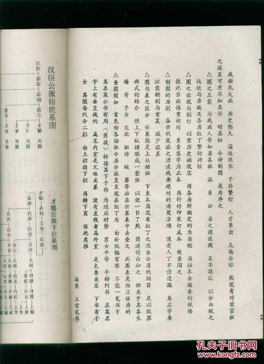 湖南谢氏通谱分房世系图16开线装本谢氏族谱