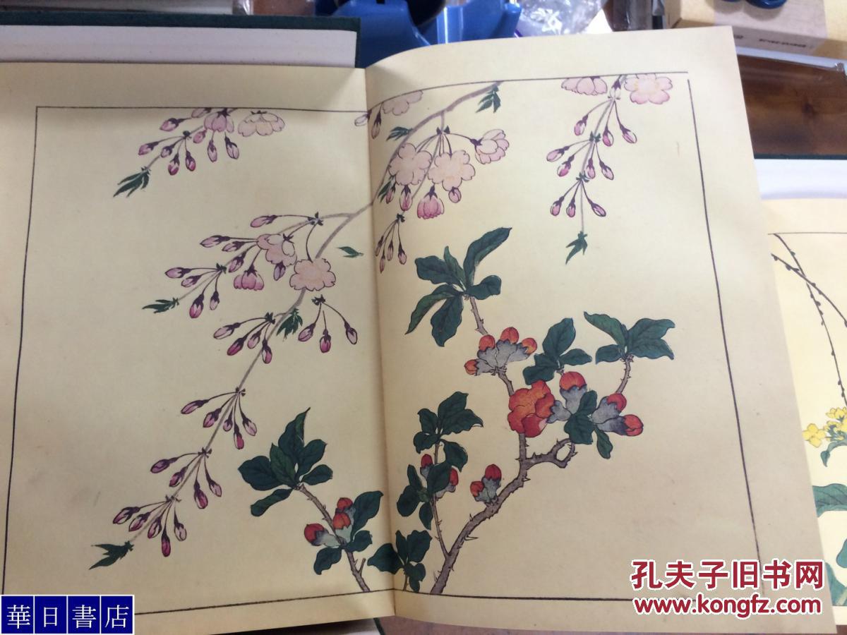 日本的花谱 四季之花 《 四季の花 》 《四季的花》10
