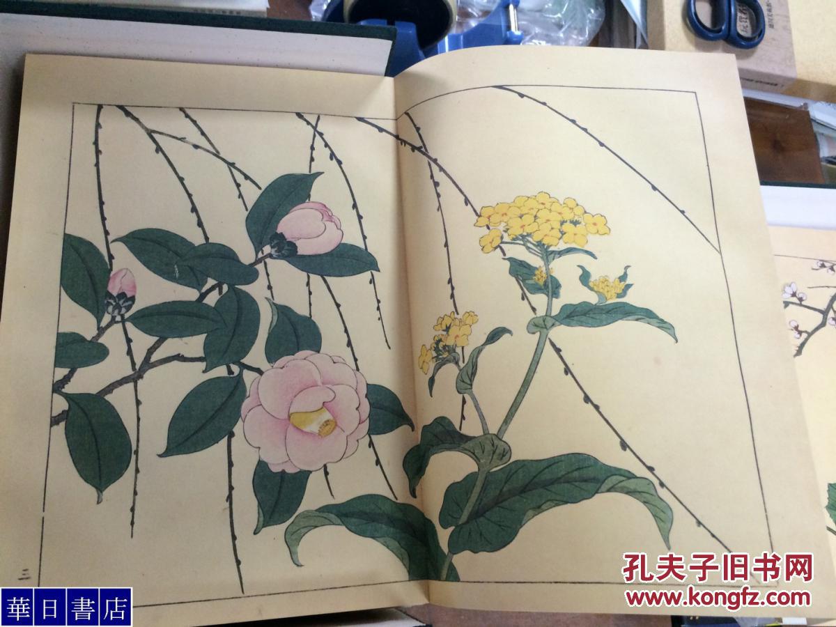 日本的花谱 四季之花 《 四季の花 》 《四季的花》10