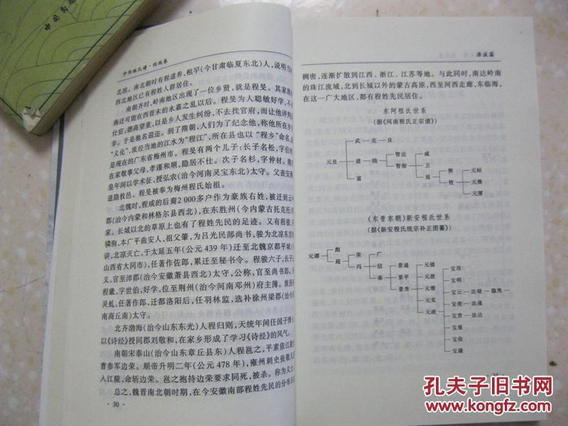 程姓的人口_程姓人口占中国姓氏多少名(2)