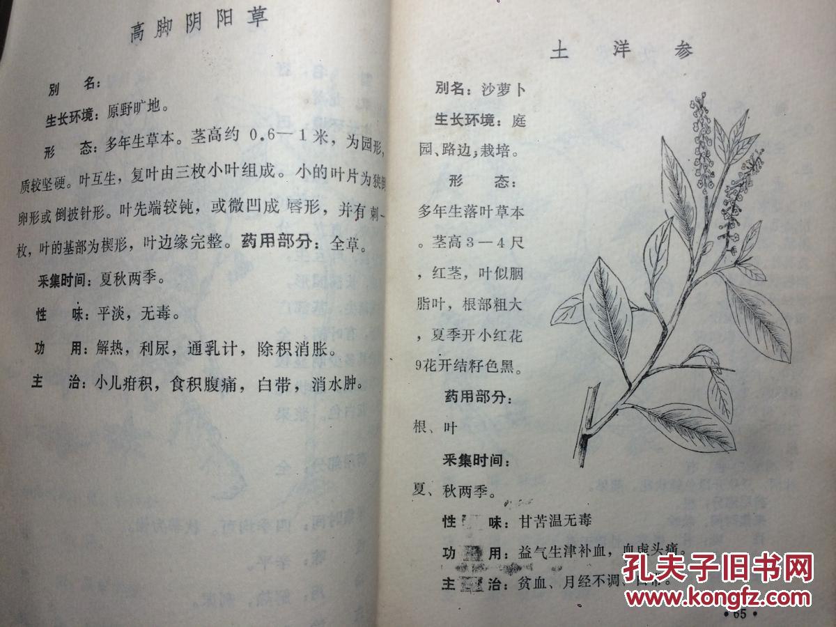 草药验方秘方汇编-第二集