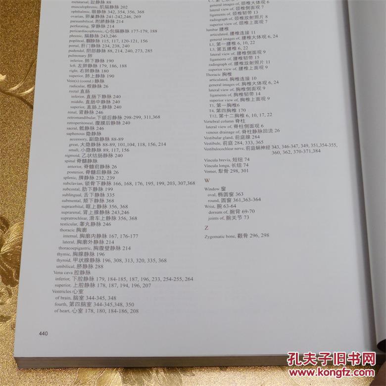tank简谱_儿歌简谱(3)