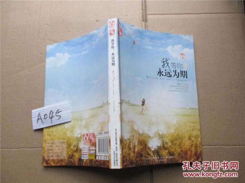我等你永远为期 童馨儿 著