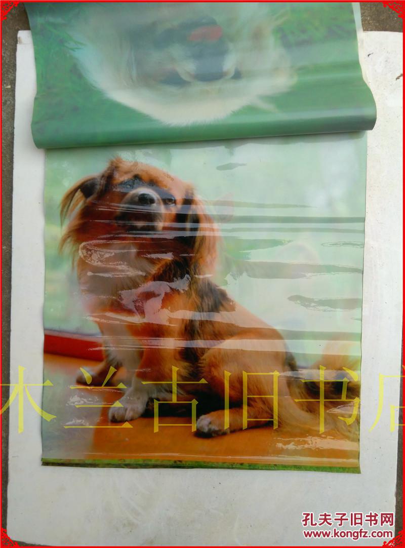 八九十年代怀旧塑料纸老挂历画不同品种的狗11张49x57cm